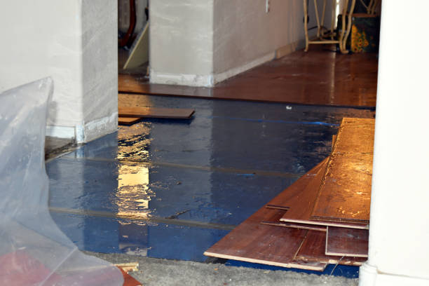Professional Basement Flood Cleanup technician working in Fairfield, IL